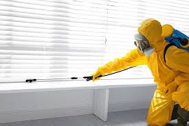 Reliable Stewartville, MN Pest Control Solutions